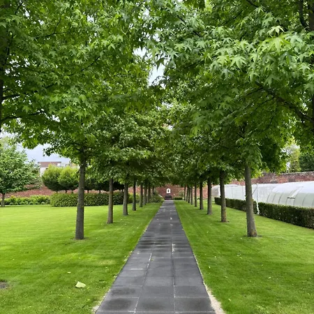 Couette-café Maria Hart