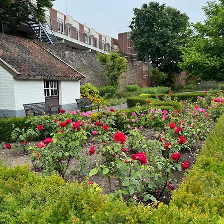 Maria Hart Oda ve Kahvaltı